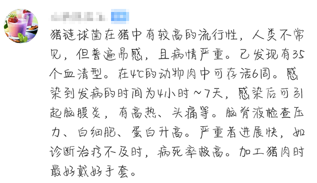 网友评论 网友评论