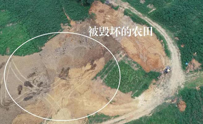 被毁坏的农田