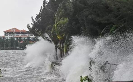 台风 台风