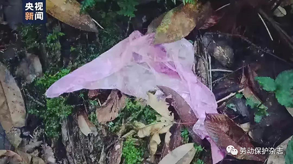 雨衣碎片 雨衣碎片