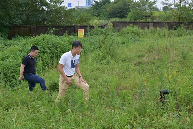 检查垃圾渗滤液排放情况 检查垃圾渗滤液排放情况