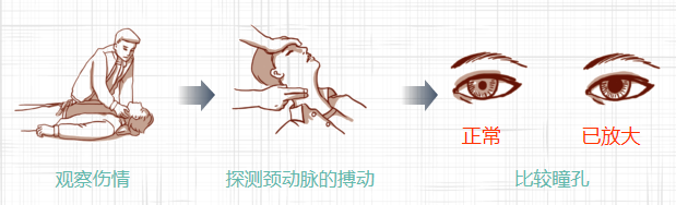 观察