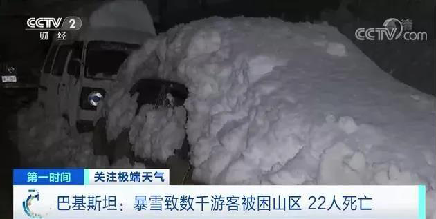 案例八