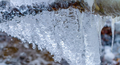 雨雪天气持续！河南再次启动低温雨雪冰冻灾害Ⅳ级应急响应