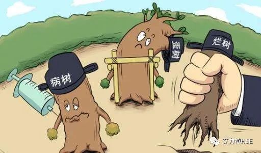 病树