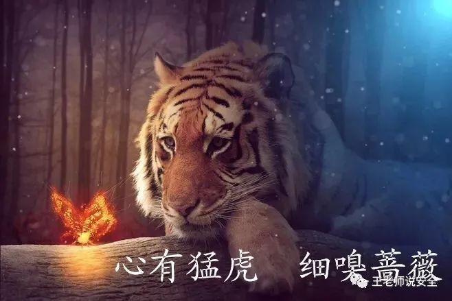 心有猛虎 心有猛虎