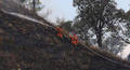 国家森林草原防灭火指挥部办公室发布2022年春夏季全国森林草原火险形势预测